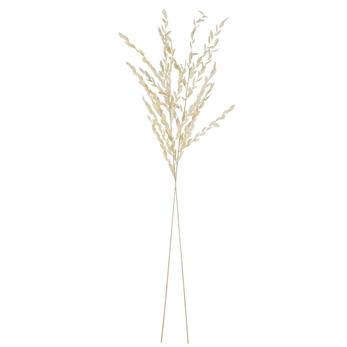 Feuilles séchées J-Line en jute naturel, vue d'ensemble