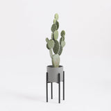 Support pour plantes Ascot Noir en métal élégant avec design moderne