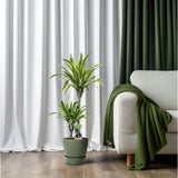 Dracaena Lemon Lime en pot, ambiance intérieure moderne