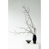 bol au design innovant, verre haut de gamme, RUD10ZW