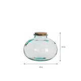 Vase Olly Transparent