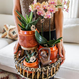 Maison Colibri | Support à plantes - Réhausse à plantes en bois Ø12cm