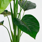 Plante artificielle Vert