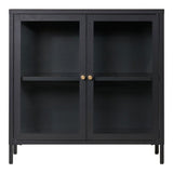 Vue de face de l'Armoire Dalby avec portes vitrées en acier noir