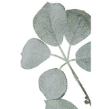 Branche Schefflera Flocked J-Line - vue d'ensemble en vert