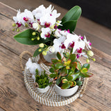 Maison Colibri | Bol décoratif - Plateau tressé blanc Ø30cm
