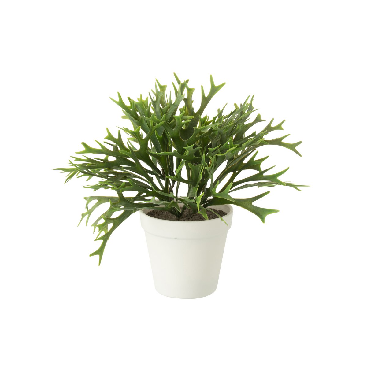 Platycerium Bifurcatum en pot artificiel vert, élégant et naturel