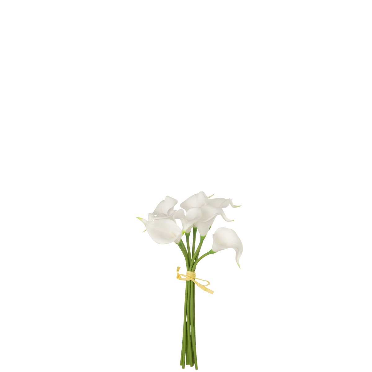 Boîte Calla Lily J-Line en plastique blanc, vue d'ensemble
