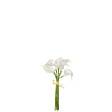Boîte Calla Lily J-Line en plastique blanc, vue d'ensemble