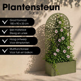 Stand de plantes à l'extérieur de Sapri Green