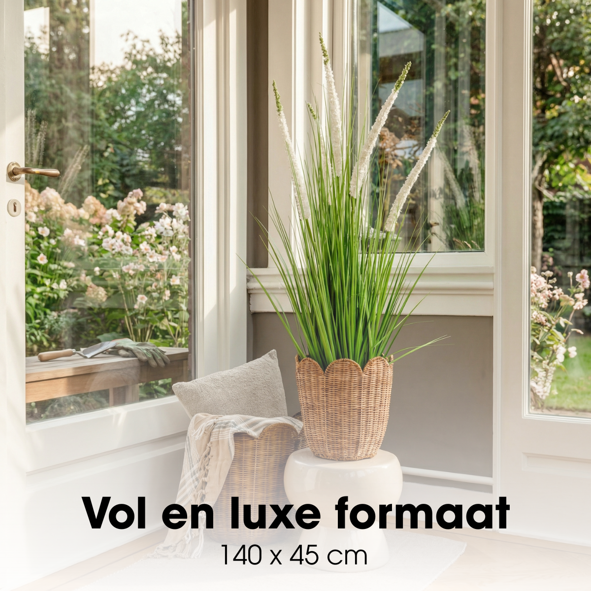 Image de diapositive