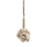 Le gland Cowrie Shell de porte - Naturel