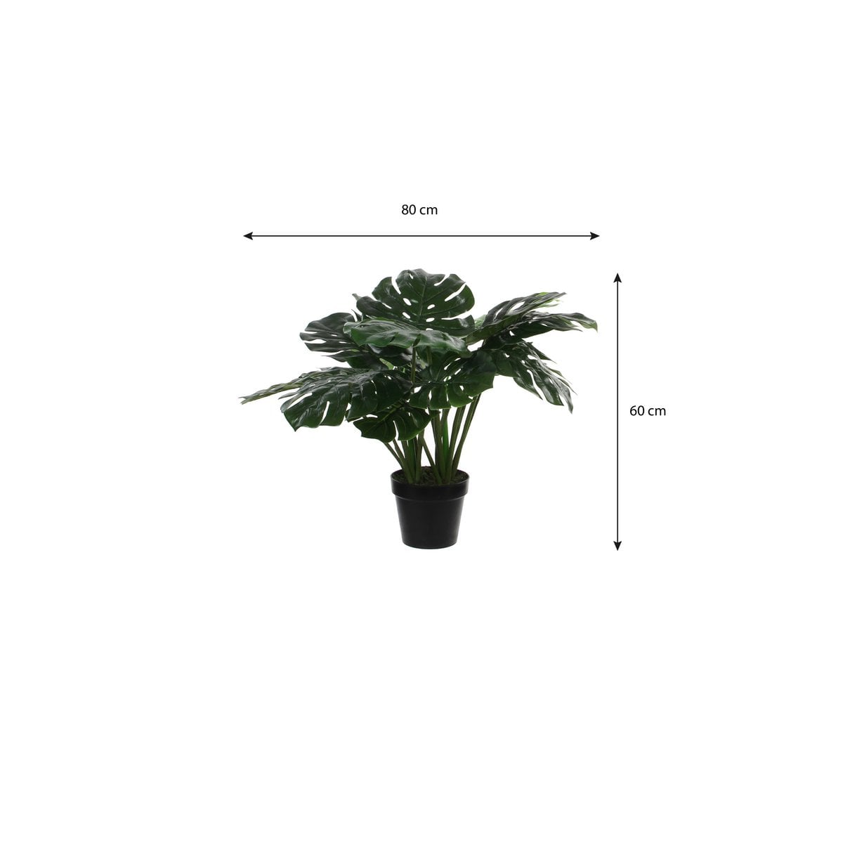 Vue de près des feuilles de la Monstera artificielle