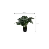 Vue de près des feuilles de la Monstera artificielle