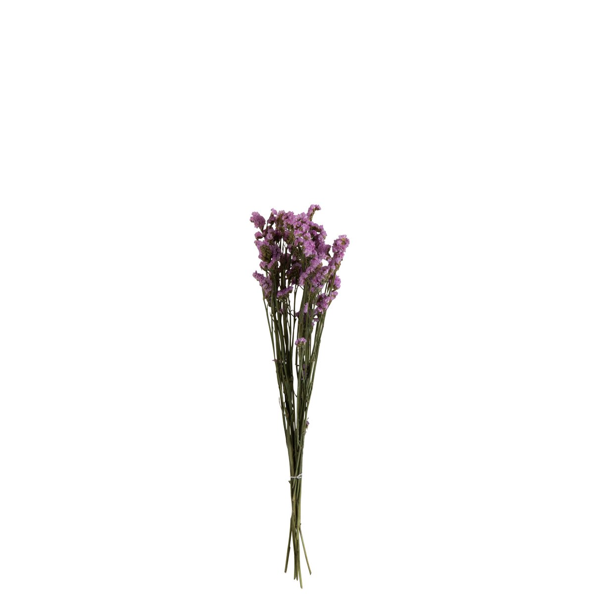 Bouquet Séché Forget Me Not J-Line en violet, élégant et naturel