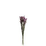 Bouquet Séché Forget Me Not J-Line en violet, élégant et naturel