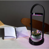 LED PLANT LEAT LUMINET 53,5 cm de haut, en métal et en plastique en noir, avec LED intégrée