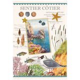 Torchon Sentier cōtier Ecru 48 x 72