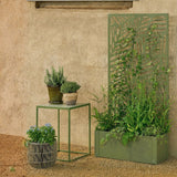 Stand de plantes à l'extérieur de Sapri Green