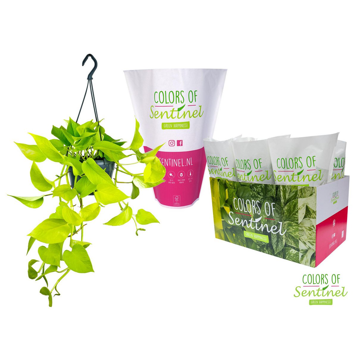 Image de diapositive