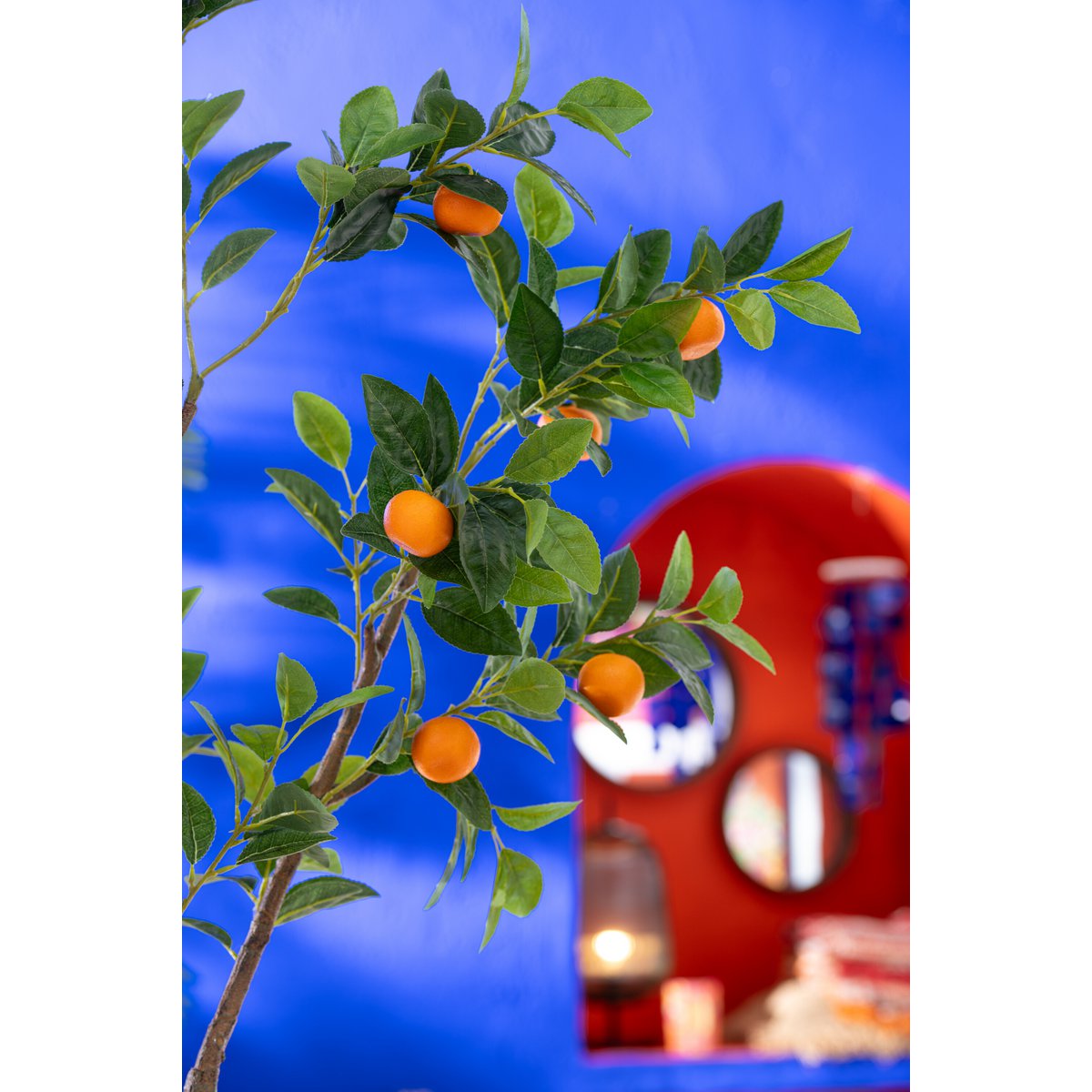 Détail du pot en plastique orange et vert de l'Oranger J-Line