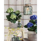 Plante d'art Hyddongea Creme