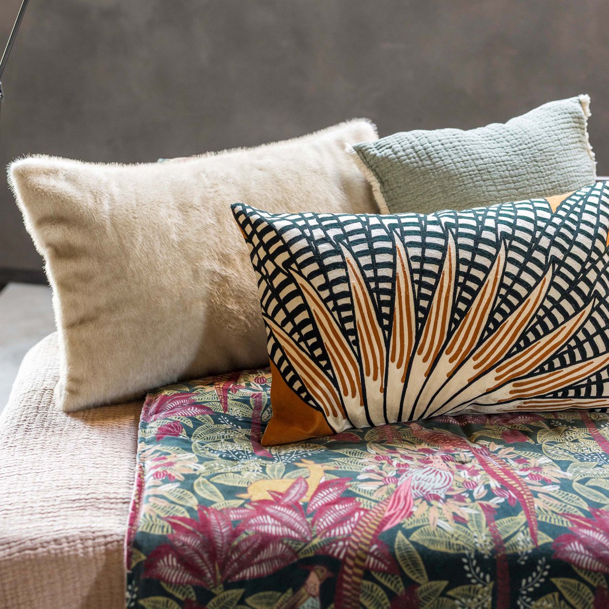 Image de diapositive