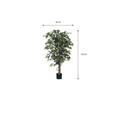 Détail du tronc en bois de la plante Ficus artificielle
