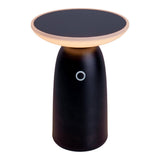 LED SOLAIRE LED "Ada" noir pour l'extérieur, lampe de table à LED en métal et en plastique 22,5 x 16 cm