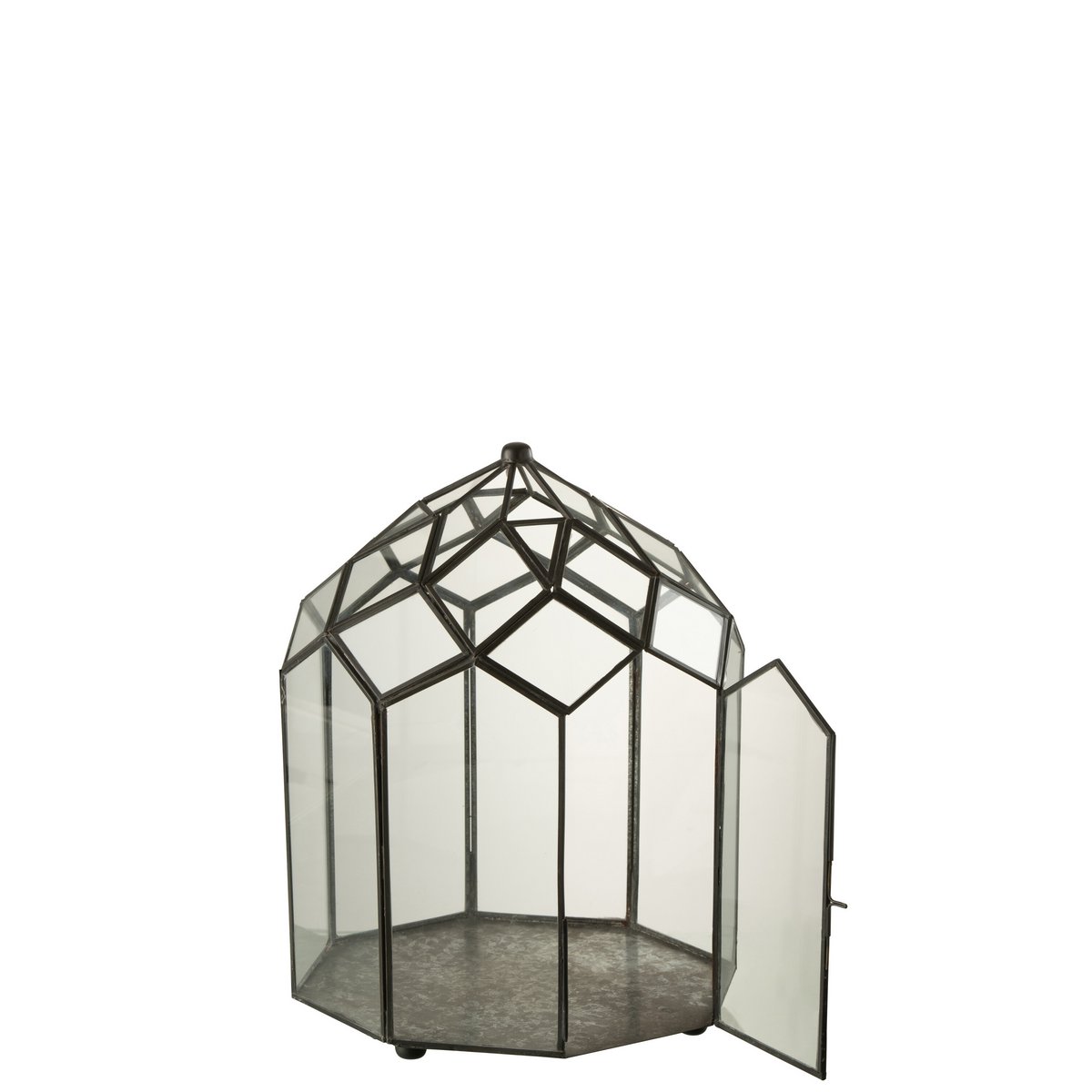 Terrarium J-Line, angle latéral montrant la structure en métal noir