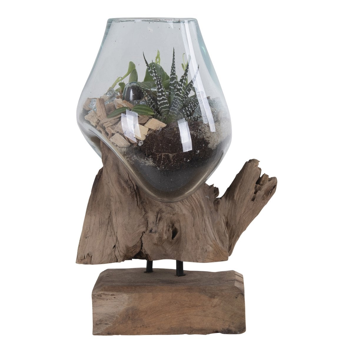 Goutte d'Eau Saint-Marin en bois de teck et verre, vue de face