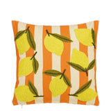 Coussin Multicolore