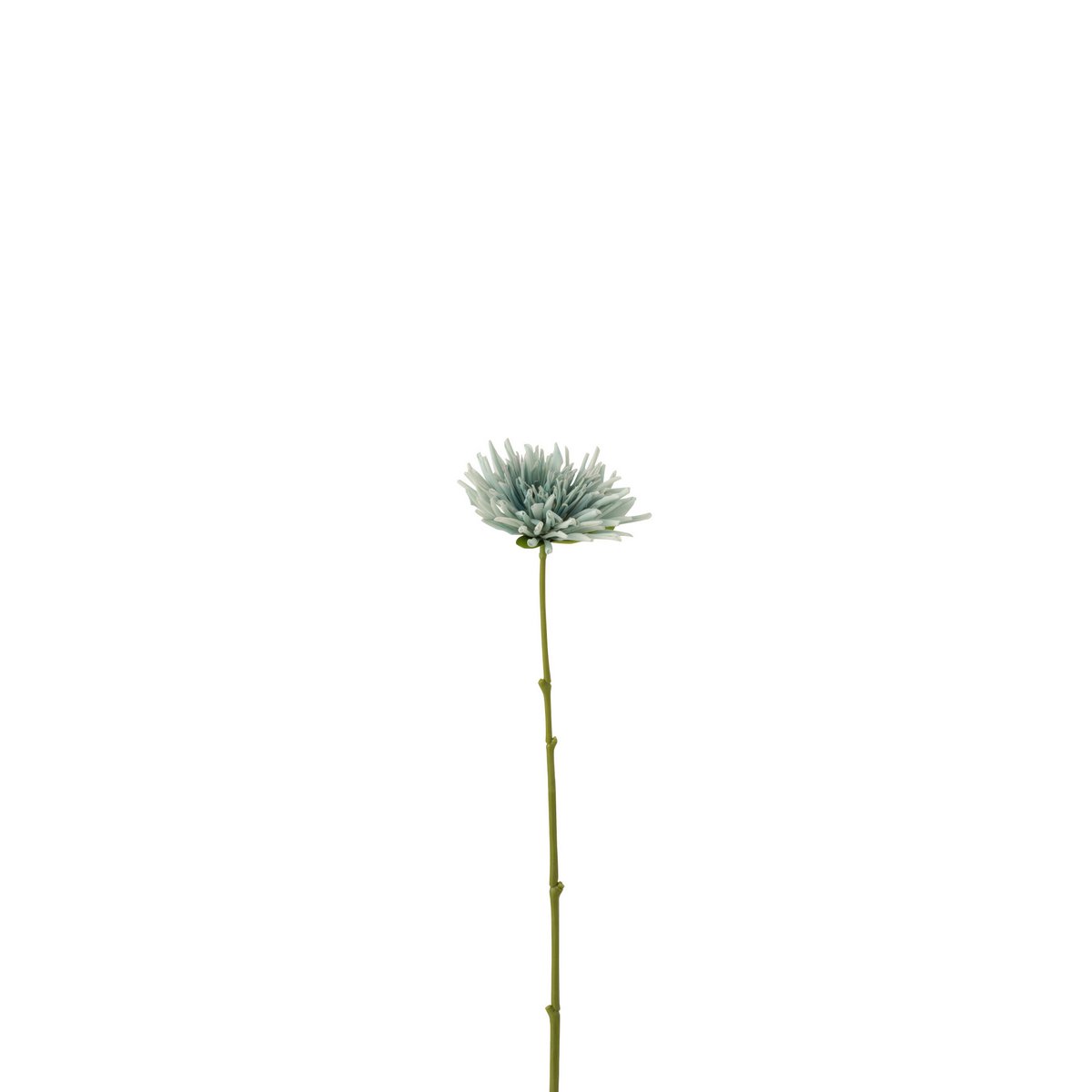 Image de diapositive