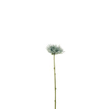 Mini chrysanthème J-Line - plastique - blanc/bleu clair