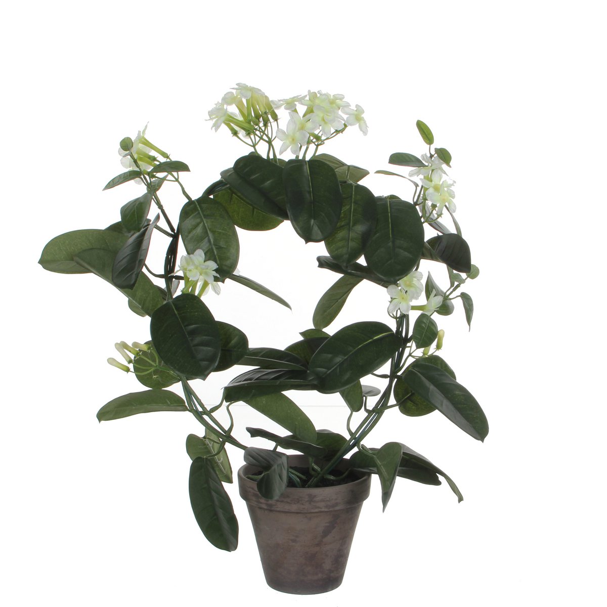 Plante artificielle Stephanotis blanche dans un pot élégant