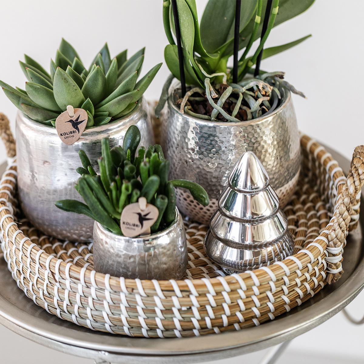 Maison Colibri | Pot en argent Elite - Ø9cm