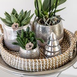 Maison Colibri | Pot en argent Elite - Ø9cm