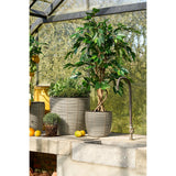 Plante artificielle Ficus Vert