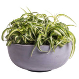 Lot de 2 cache-pots gris en polyester