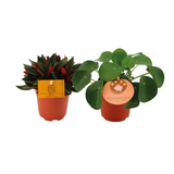 Lot de 2 plantes artificielles en céramique vert et rouge