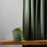 Hedera Helix Yellowbont - Hangot blanc / Basic - Ø17cm - ↕cm