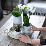 Maison Colibri | Bol décoratif - Plateau tressé blanc Ø30cm