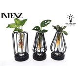Mélanger en verre Turin + LED - 3 pièces - Ø7cm - ↕20cm