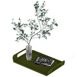 Plateau Vigor Vert