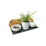 Station d'alimentation MOUNTAIN 2x bols en porcelaine de 0,4 litre plus pot pour herbe à chat en bois d'olivier