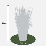Plante artificielle Imperata cylindrica rouge