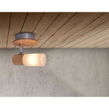 1er wall-u. Plat de plafond "Todtnau", métal, bois et plastique, E14,