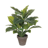Plante artificielle Evergreen vert avec feuilles détaillées