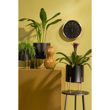 Set de supports pour plantes Bélier Noir