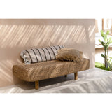 Le banc en jacinthe d'eau